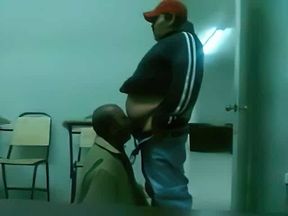Fat Daddy Bear Sucks Chub