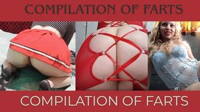COMPILATION OF FARTS