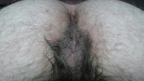 Cock Balls and Hairy Ass of Farts
