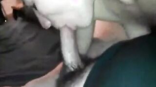 She Suck My Cock She Eat Fucked you