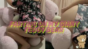 FARTING ON MY GIANT BEAR