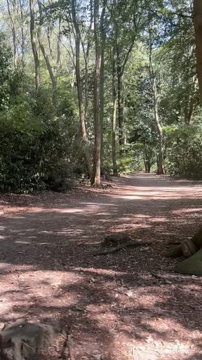 Nice day for jerking in the woods