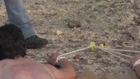 Model Behavior - Chapter 1