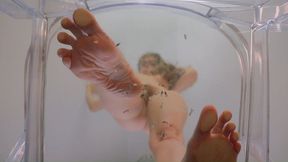 Worship My Feet 'Til They End You | Giantess Foot Crush Domination