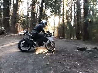 Sex in the Sequoias! We banged on a two,000 year old tree!