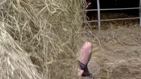 Mess in the Pigsty Farmer Seeks Woman to Fuck