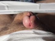 This morning, in my Hanes classic fly-front briefs - hard