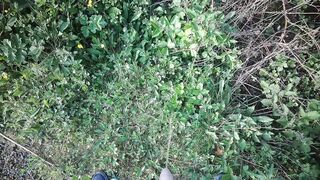 Urinating in Public. Taking a pee on my walk thru the park.