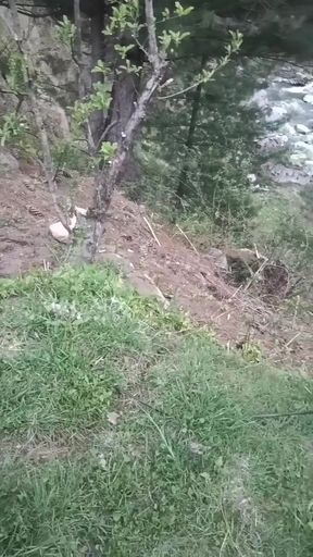 Part 2 - Desi outdoor sex with a stranger girl in the jungle.