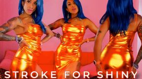 Stroke For Shiny
