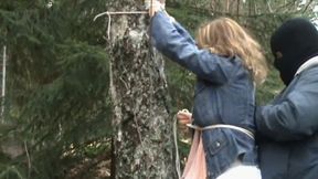 Captured At The Autumn Forest - FULL HD (mp4) - JC20251204
