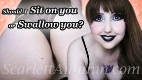 Should I sit on you or eat you? - WMV HD 1080p