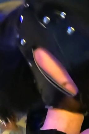 Latex Bunny Tranny Big Dick Suck Leather BDSM