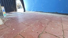 AD Bullwhipping in the Dungeon by Goddess Adrianna
