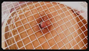 Naughty Suzu Minamoto puts vibrator on hot box New release