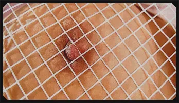 Naughty Suzu Minamoto puts vibrator on hot box