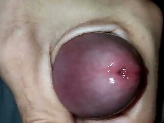 Playing with the head of a wet penis