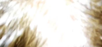 Neighbor's cock in my wife's mouth