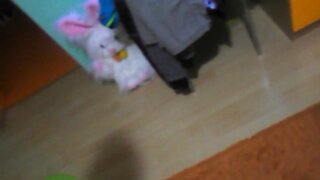 Andy suck a nice hairy dick , 30 minutes ago !!!