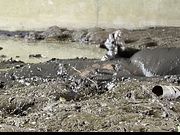 MUDDY !!