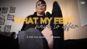 What My Feet Have To Offer 4K