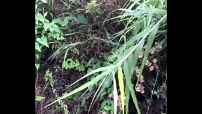 Bot hẹn top b&uacute_ cu