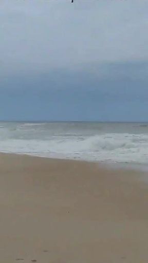 Walk on the Beach Encimtri a.wanker and Look at What Gave