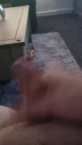 Wank Cock