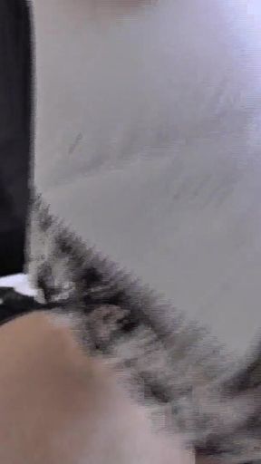 Your Vintage Handkerchief Sniffing Day - Part 1, Lady Victoria Valente