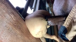 Three Style of Fucking Big Ass Deep Anal Slut Hard