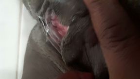 Hot Pussy dripping cum on ovulation day
