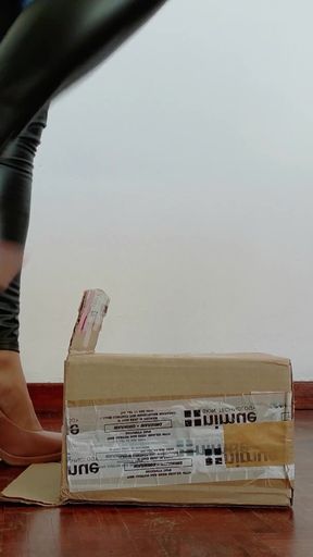 Stilettos Vs Cardboard