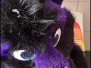 Lucer painting again