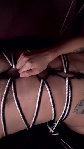 Peterfever Tied up Tuesday 1 Whos the Treat Now Bitch