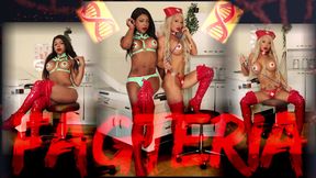 FAGTERIA *HD 1080*
