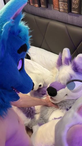 i love being folded in two as this good boy breeds me deeply ‍