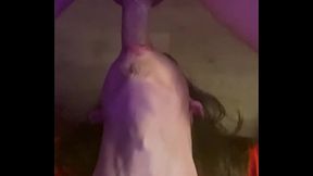 Deep throat Eddy takes a dick