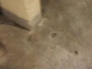 Piss Trashing Dilapidated Bathrooms Teaser