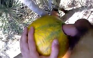 outdoor fun with melon