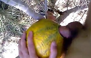 outdoor fun with melon