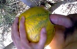 outdoor fun with melon