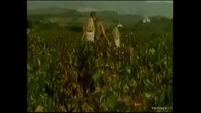 Liliane and Chrystal Are Working when the Teen Wants to Fuck a Guy