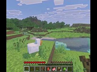 Minecraft but if i take injury i get..railed?