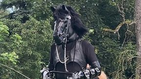 4-day ponyplay training compilation