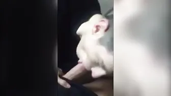 Amateur Twink Gives Paddy Pass a Blowjob