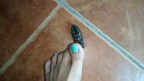 Bare foot big bug crushing