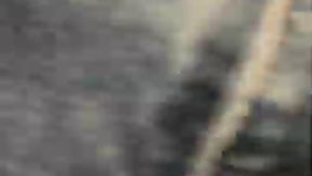 Master of Fetishes Dancing MP4