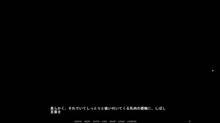 GUNDAM SEED DESTINY SFⅡ ~part1~ Hapite