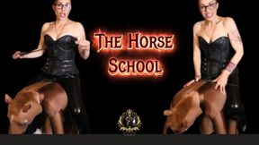 The **** School 🐎🐎