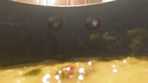 Vore - A Teenie Falls into Giantess MXDominion Pot of Stew POV, unaware giantess, shrinking fetish 1080